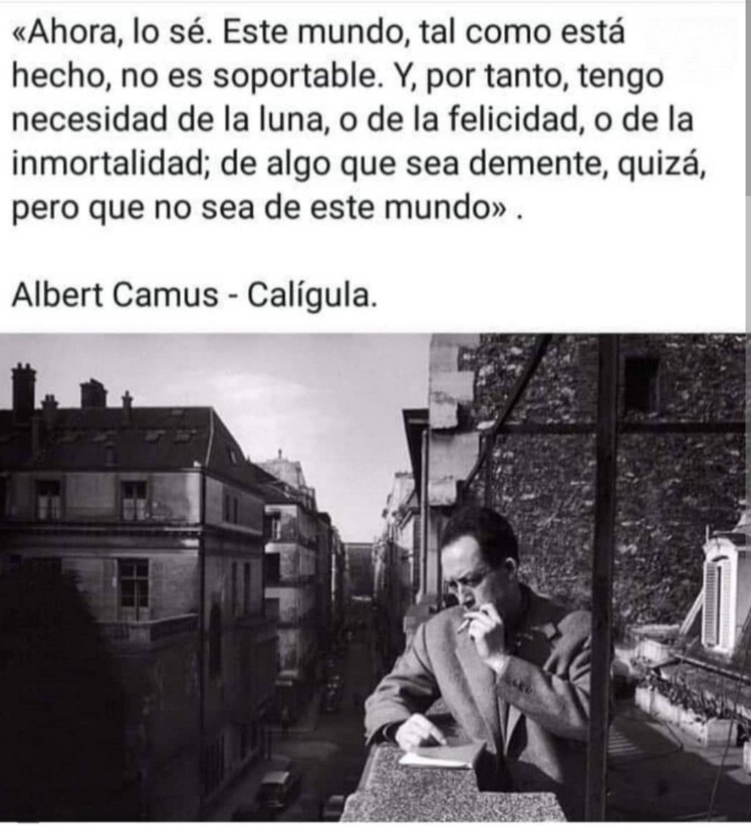 ljhernanc's tweet photo. Cuan identificada estoy, a estás alturas de mi vida puedo renunciar a todo menos a la búsqueda de aquello que me hace vibrar el alma, mi mayor ambición es romper mis esquemas, vivir lo que quiero y toparme con la felicidad tantas veces como sea posible.✨ https://t.co/gzOWzg6oBq