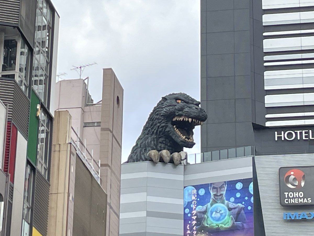 yoyo43811's tweet photo. The first guided tour in 2024! They are from Australia 🇦🇺
2024年、初のガイドはオーストラリアのファミリー🇦🇺 今年も楽しく続けていけたら嬉しいな☺️ 本年もどうぞよろしくお願いいたします♡

#licensedtourguide #walkingtour #tokyo 
#godzzila #通訳ガイド #全国通訳案内士 #新宿 #ゴジラ https://t.co/KY1H7a36Gk