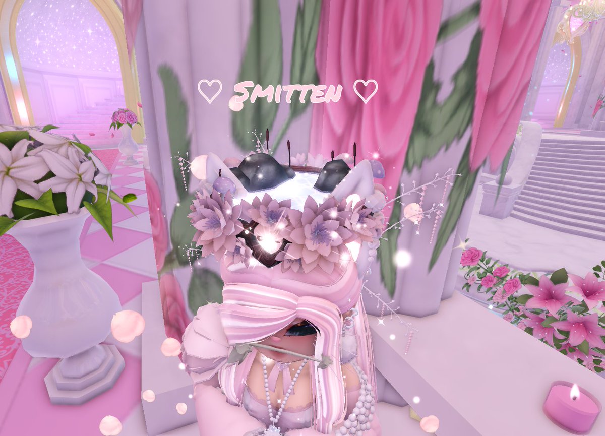 ♡ ｡･🪽•Shannon•🪽･｡♡ tweet media