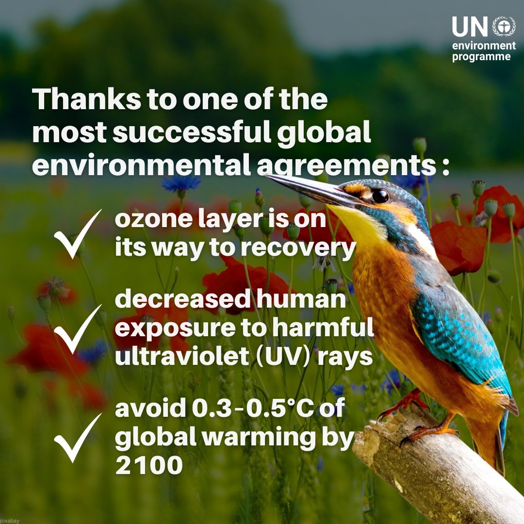 The impact the Montreal Protocol has had on climate change mitigation cannot be overstressed – look back at the latest science on ozone layer recovery here:  unep.org/news-and-stori…