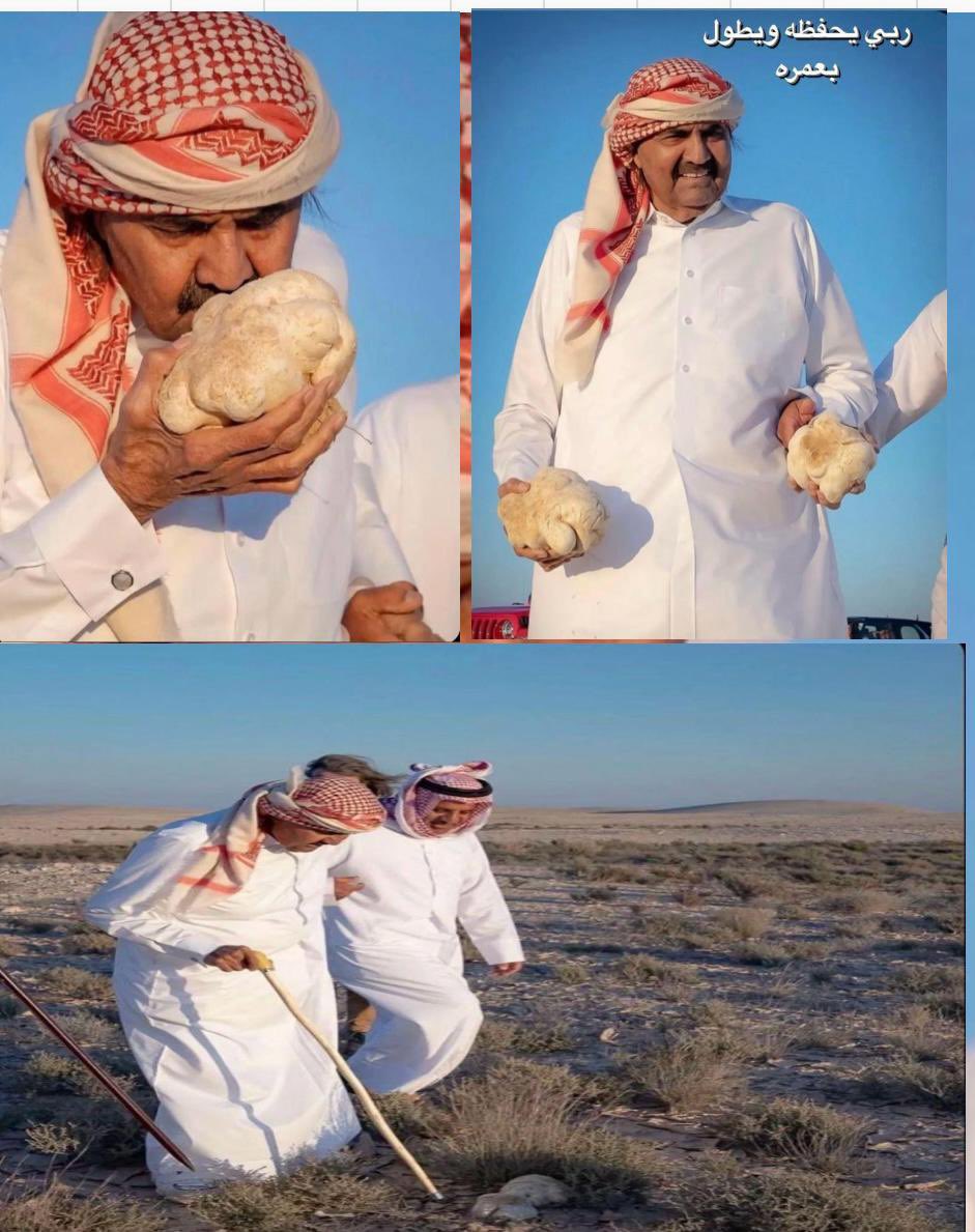 hard_qatar2022's tweet photo. كالصقرِحُرٌفي السماءِ مُحلقاً
بالفخرِ يزهو وفيهِ تزهو قصائدُ
للشعبِ والد حيث يرانا بعينهِ
فلذاتُ كَبدٍ وهذا طبعُ الوالدُ
أُهديهِ من نبضي الحنين قوافيا
والشعرُ ينبضُ والقلوب شواهدُ
في حفظ ربي حيثُ تمشي رِكابِهُ
حمدُالشهامةِ منه تسمو فراقدُ
#هارد_قطر
 #بومشعل
 #حمد_بن_خليفة_ال_ثاني https://t.co/0XWqs5YhOX
