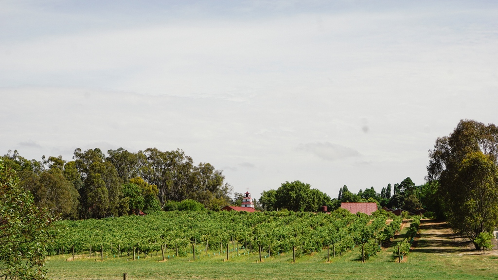 Tahbilk Estate is open after the heavy rain event across Victoria, and we are welcoming guests to both the Cellar Door and the Restaurant. 

If you are travelling to visit us, please follow the signs which will direct you to the northern entrance.