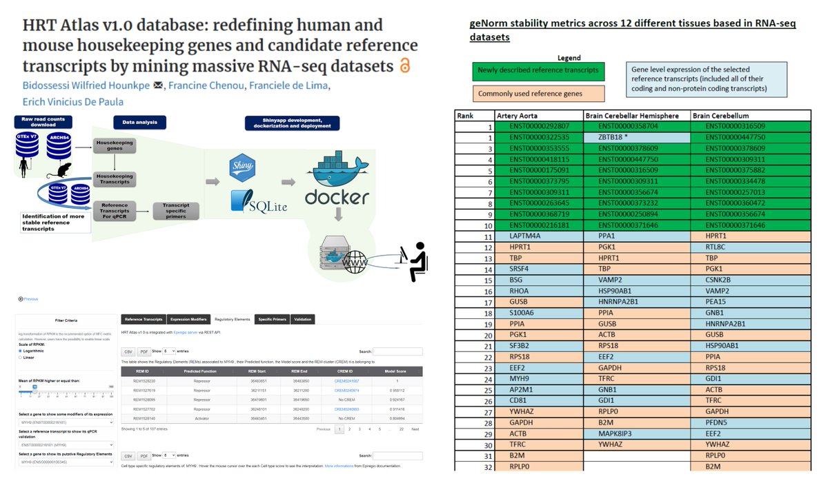 Housekeeping &amp; Reference Transcript/HRT Atlas v1.0 database: Find👤🐭Tissue-specific #HouseKeepingGenes

Based on #GTEx #ARCHS4

housekeeping.unicamp.br

qPCR primers😁
+way more gene-specific regulatory data🤠

<a href="/BidossessiH/">Bidossessi Wilfried Hounkpe</a> @NAR_Open 2021
academic.oup.com/nar/article/49…
