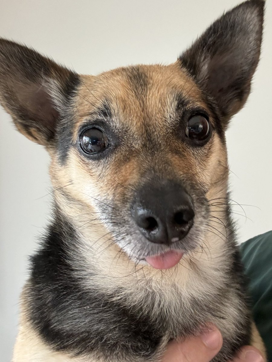 SeanFromSydney tweet media