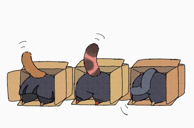 「段ボール箱 猫」のTwitter画像/イラスト(新着)