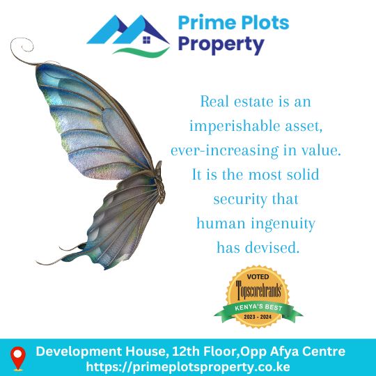 GoldenChoicePr1's tweet photo. #primeplotproperty #plotsforsaleinkitengela #ownlandwithprimeplotsproperty 
#RealEstateAwards2023 
#realtorsinkenya 
#KenyanRealtors
#landforsale
#kenyaland
#investinkenya
#propertyforsale
#realestatekenya
#landinke https://t.co/7ed16QE1IF
