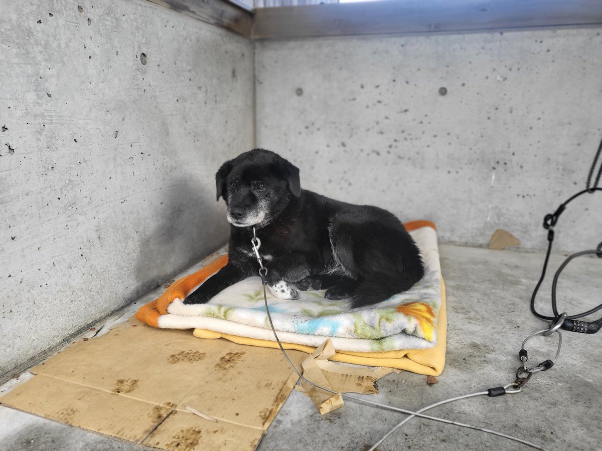 mao-camp tweet media