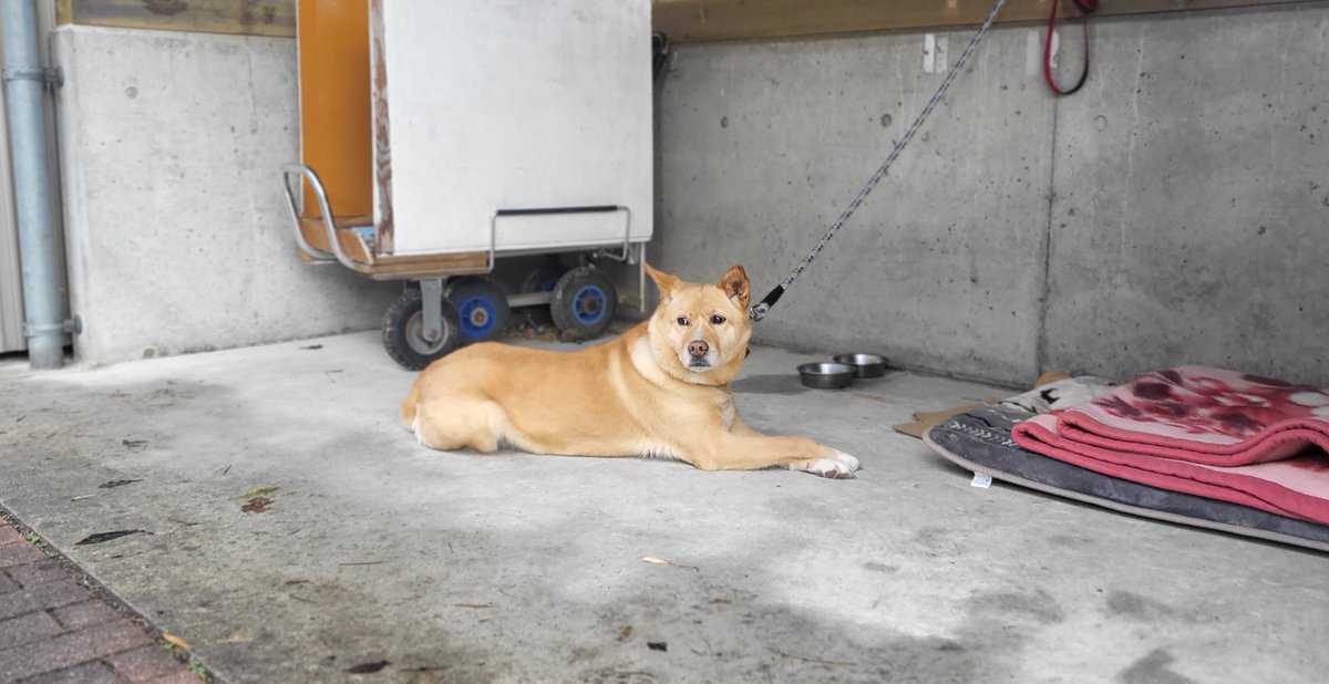 mao-camp tweet media