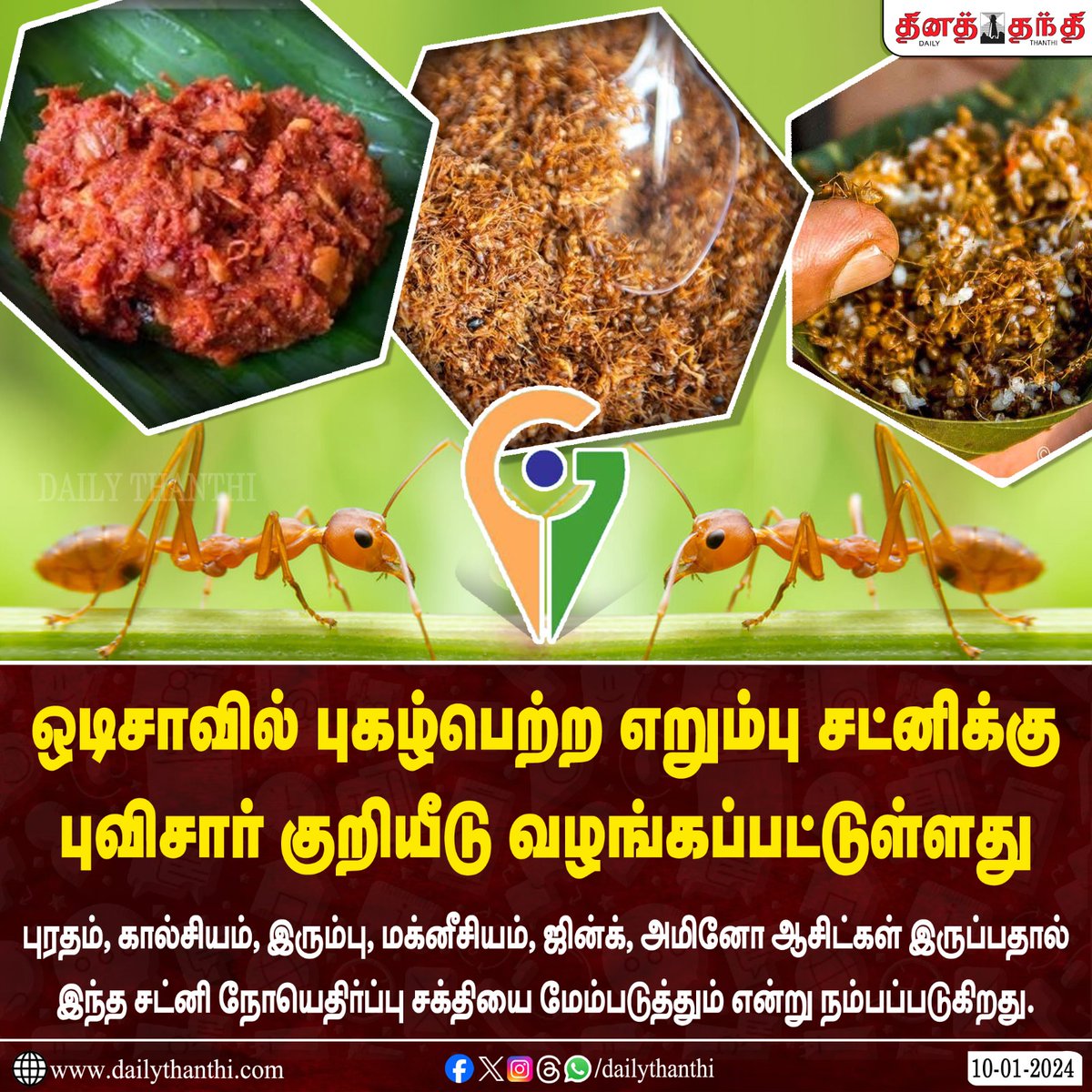 dinathanthi's tweet photo. ஒடிசாவில் புகழ்பெற்ற எறும்பு சட்னிக்கு புவிசார் குறியீடு வழங்கப்பட்டுள்ளது.
#Odisha #Ant #Antchutney #GeographicCode #DT #dailythanthi https://t.co/28KNylIhFN