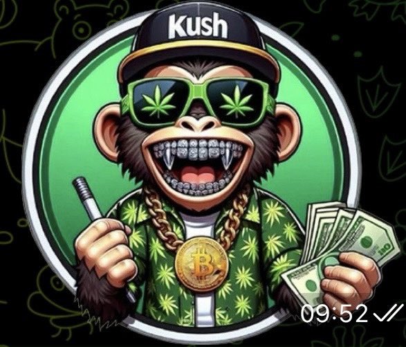 gm 

Did u ape into $BTC B4 it was cool?