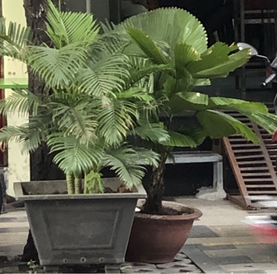 Hanh_le76's tweet photo. Cái vòng danh lợi cong cong,
Kẻ hòng ra khỏi, người mong bước vào.
Cá trong lờ đỏ hỏe con mắt,
Cá ngoài lờ ngúc ngắc muốn vô.
Tung tăng như cá trong lờ,
Trong không ra được, ngoài ngờ là vui. https://t.co/3pyNuaKswQ