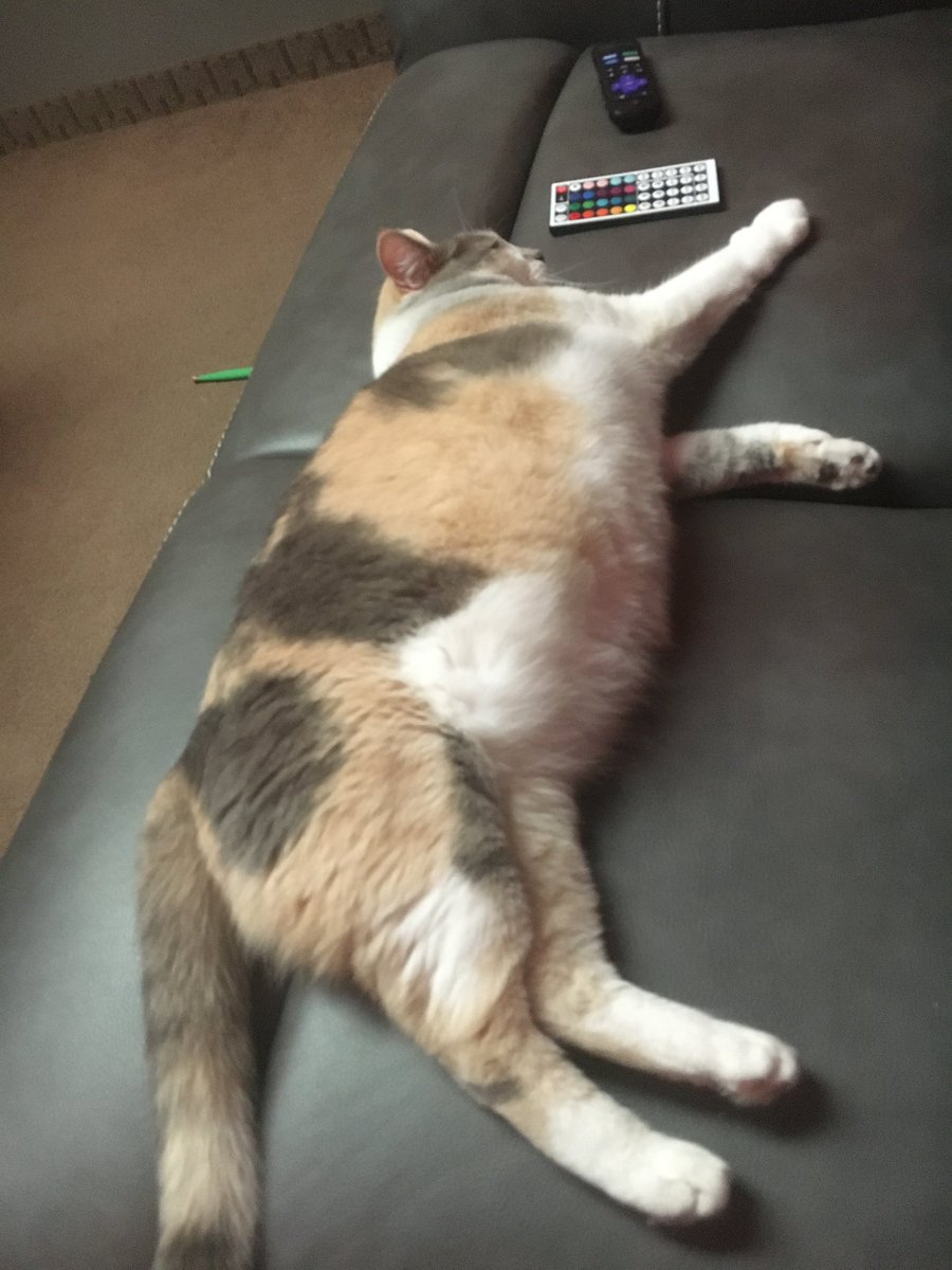 ❤️ Tea the demon🍵😈VTUBER (indefinite haitus) tweet media