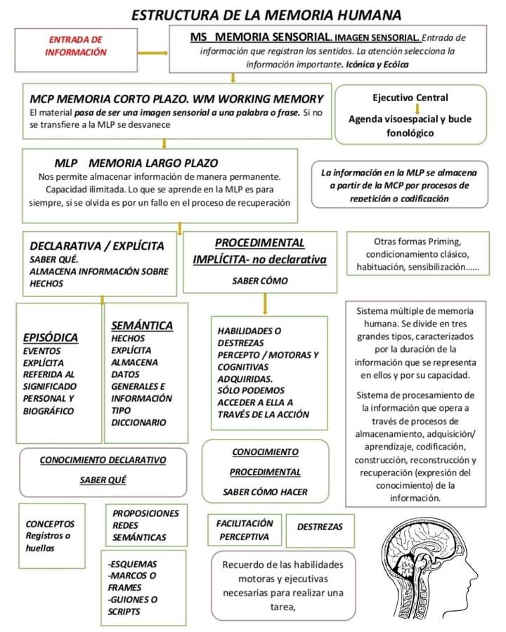 RebolledaGil's tweet photo. Cómo se estructura la memoria??? 👇👇👇👇👇 https://t.co/THwPmNaGs4