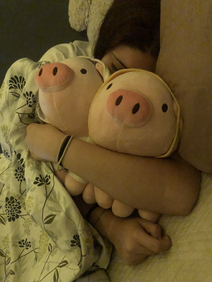 Desde q el novio le regalo los chanchitos duerme sieeempre con ellos, es re tierna mi hermana 🥺