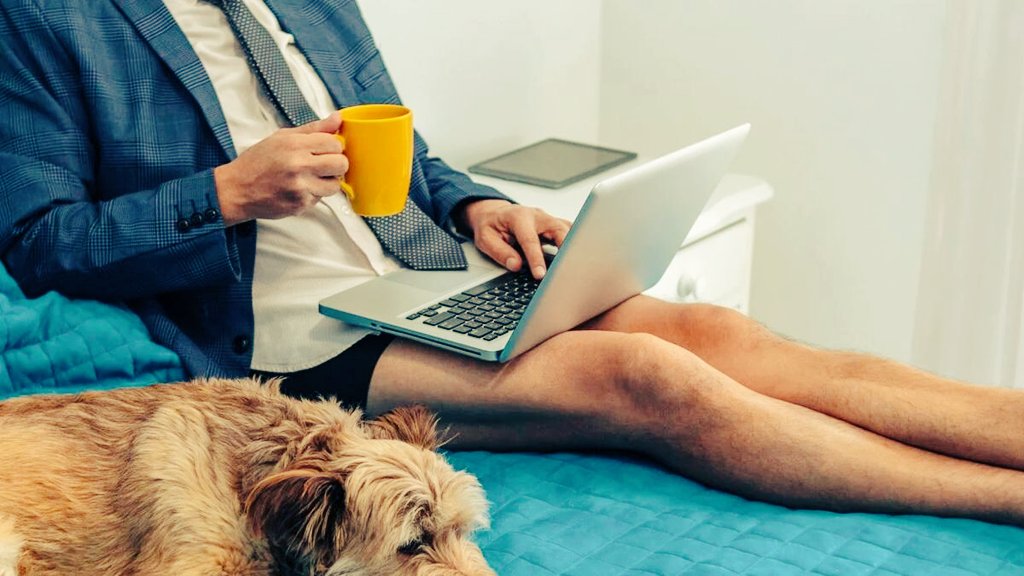 pel1245's tweet photo. "Spent a solid 20 mins curating the ideal Zoom look, only to realize nobody's seeing my pantsπ Classic 2024 fashion dilemma: all business up top, party (pajamas) down below! ππ #FashionReality #RemoteWorkChic" https://t.co/fQYmsTJ1TK