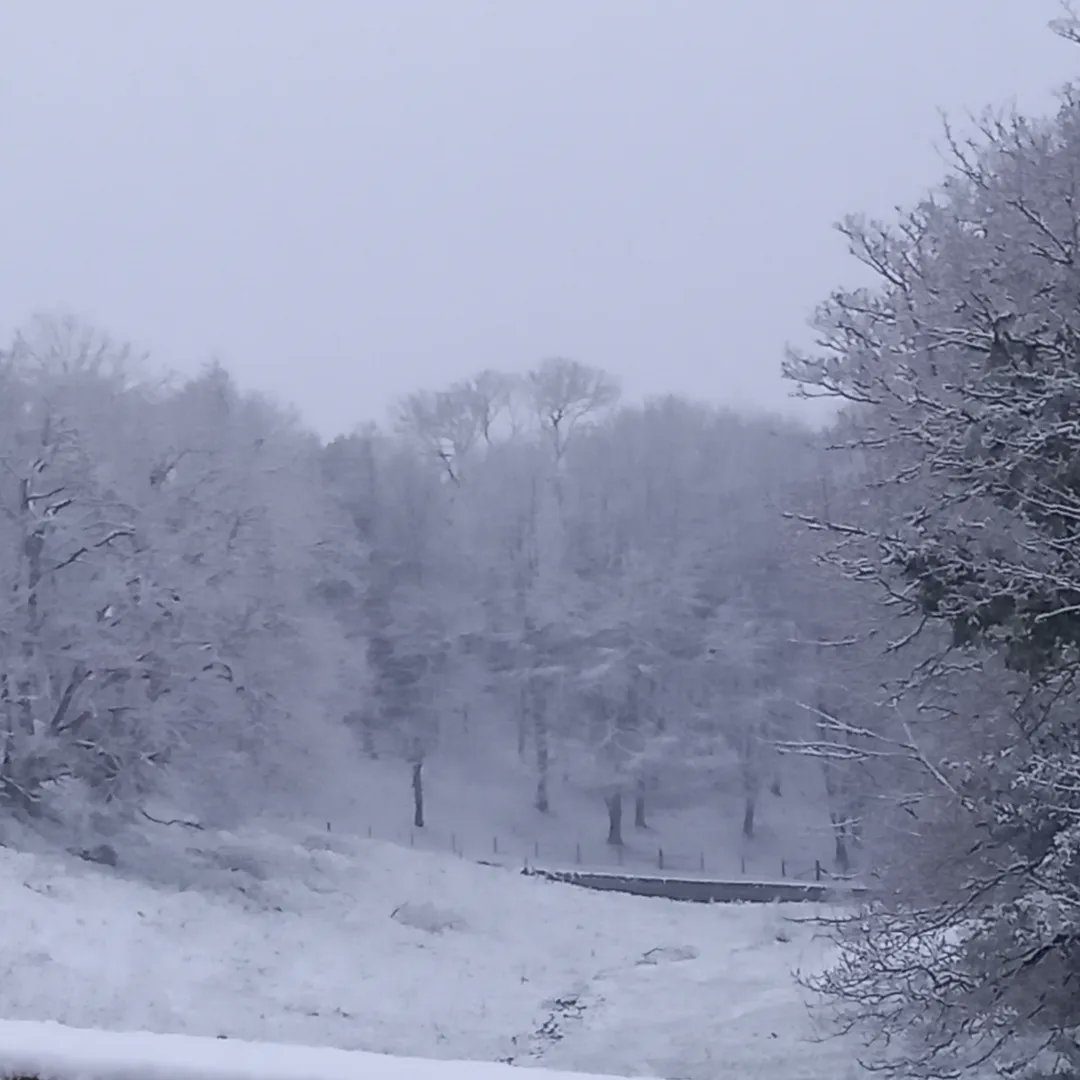 jerseydrewonx's tweet photo. #jerseysnow #jersey like #narnia https://t.co/hsMH4GD3Sv