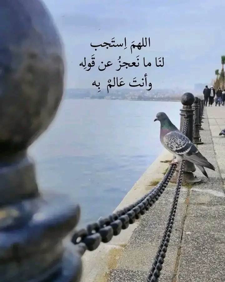 mostafa1216237's tweet photo. https://t.co/m4JdccQuUl