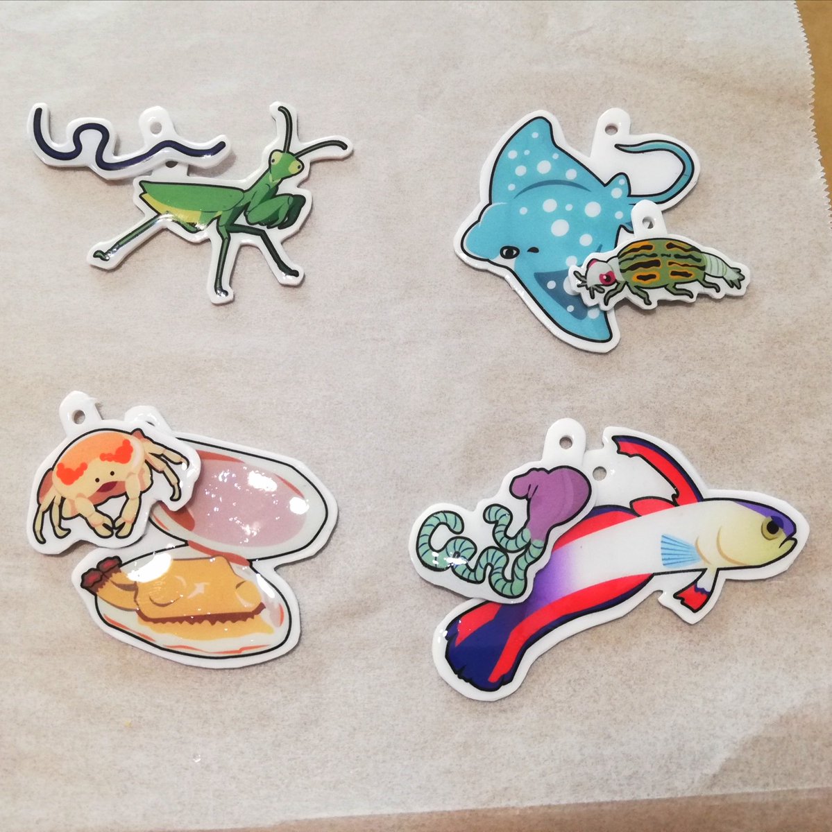 kuwaganon26's tweet photo. 寄生生物キーホルダー、だいたいできました😊✨ 前回のピンノに加えて、ハリガネムシとプラニザとリュウノヒゲ（寄生カイアシ）です。写真じゃ分かりにくいけど表面ツヤツヤでかわいい！量産してイベントで出したい https://t.co/HadUArxdVH
