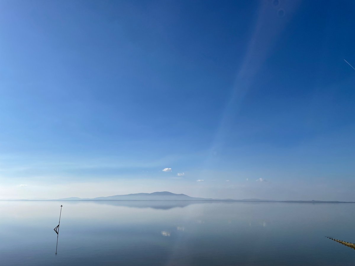 Ray Irving tweet media