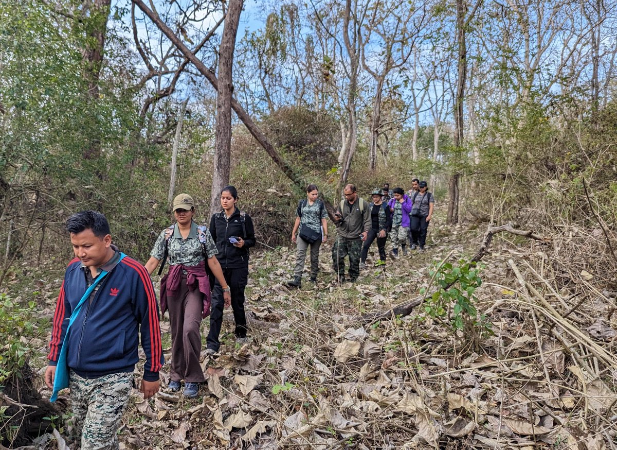 casfoscbe's tweet photo. On 9th Jan, 2024, Officer Trainees of SFS 2022-24(I) Batch participated in transect line survey under the guidance of Shri. V Karthick, IFS and estimated prey abundance, vegetation, human disturbance and ground cover.
#TransectLineSurvey #WildlifeEstimation #sfs #Conservation https://t.co/ChxQORZrxC