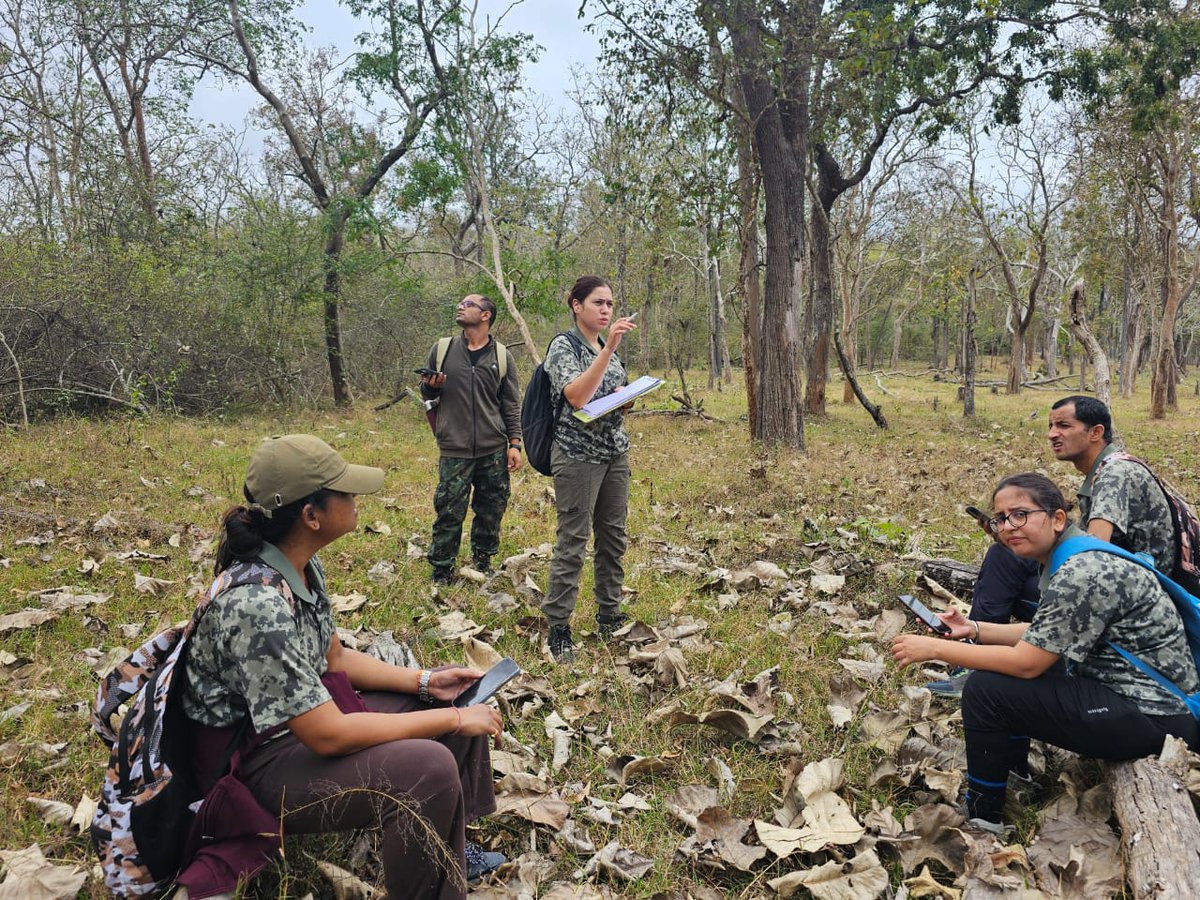 casfoscbe's tweet photo. On 9th Jan, 2024, Officer Trainees of SFS 2022-24(I) Batch participated in transect line survey under the guidance of Shri. V Karthick, IFS and estimated prey abundance, vegetation, human disturbance and ground cover.
#TransectLineSurvey #WildlifeEstimation #sfs #Conservation https://t.co/ChxQORZrxC