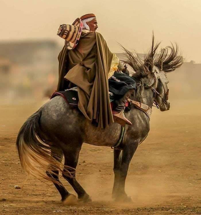 9S314's tweet photo. يجب أن تتقبل حقيقة أن بعض الأشخاص..
لا يلائمون حياتك مهما كنت تريدهم..
كن كالحياة رافق الجميع ولا تتمسك بأحد..
#صباح_الخير_والسعاده https://t.co/V9LyIj1g1w