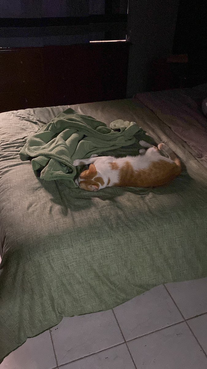 marthigonzalez's tweet photo. Mi gordo. Como si fuera que nunca me fui 🥹😭 Le amo tanto!! https://t.co/ULk2S9J2Dl