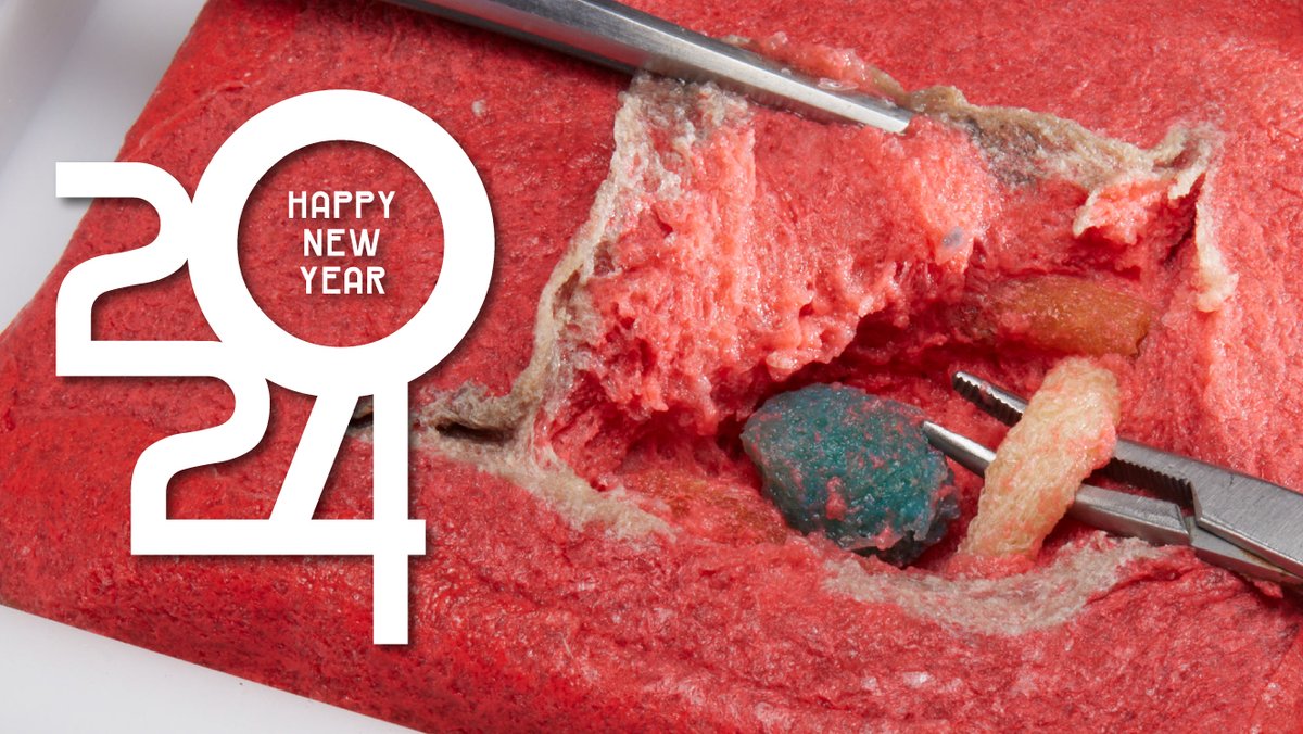 kotobuki_en's tweet photo. KOTOBUKI Medical wishes everyone a belated but happy New Year. We are excited to navigate 2024 and bring more innovation to the surgical training space. 

#happynewyear #simulationinhealthcare https://t.co/BRxwmtBhEd