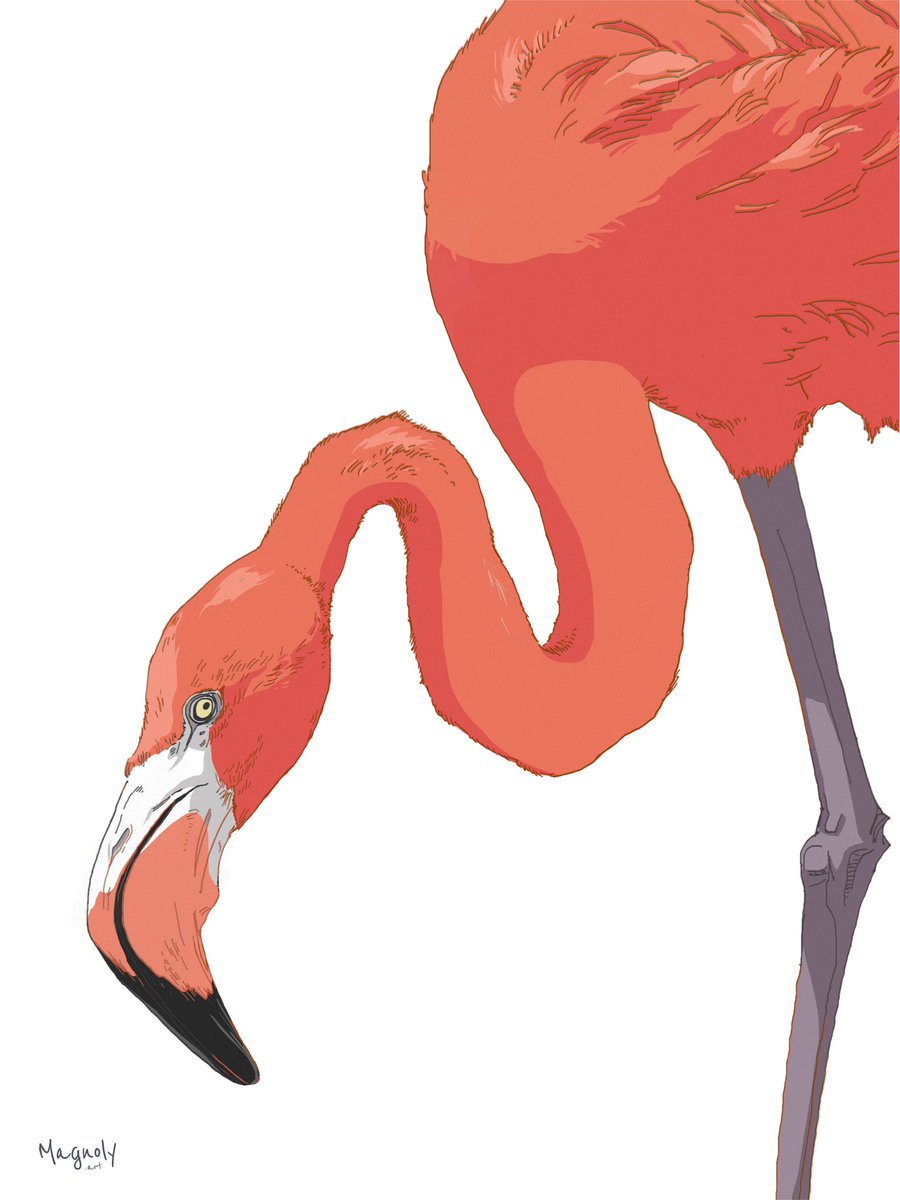 My recent flamingo artworks
#ArtistOnTwitter #artmoots