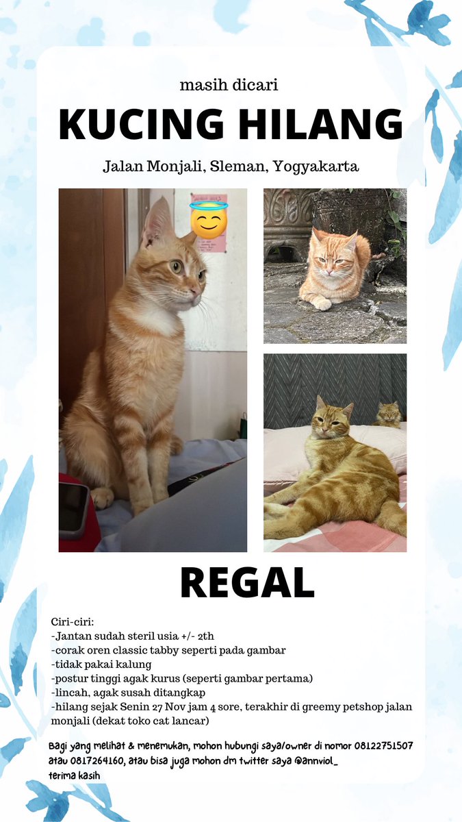 ann🐈‍⬛ tweet media