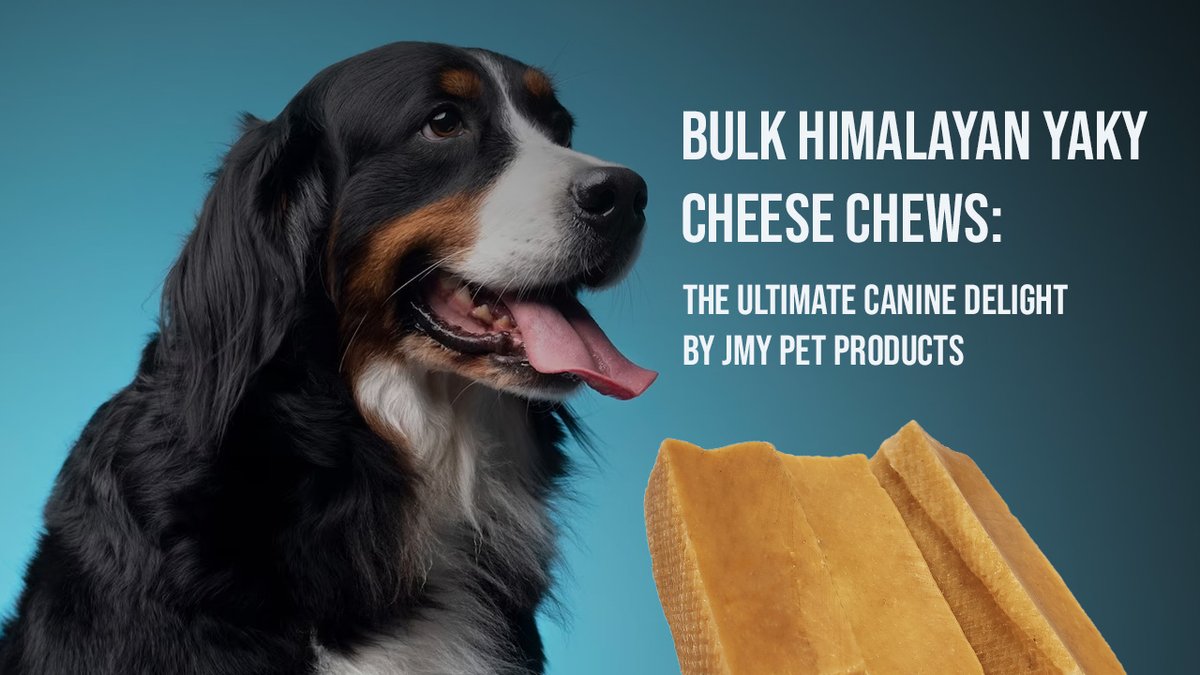 JmyPet's tweet photo. Introducing Bulk #HimalayanYakyCheese Chews by JMY Pet Products - the perfect blend of canine delight and nutritional goodness for your beloved pet!

https://t.co/GlMkakcHlH  

#JMYPetProducts #HimalayanCheeseChew #HealthyDogTreats #NaturalDogChews #CheeseChewForDogs https://t.co/Q7guqKYzw4