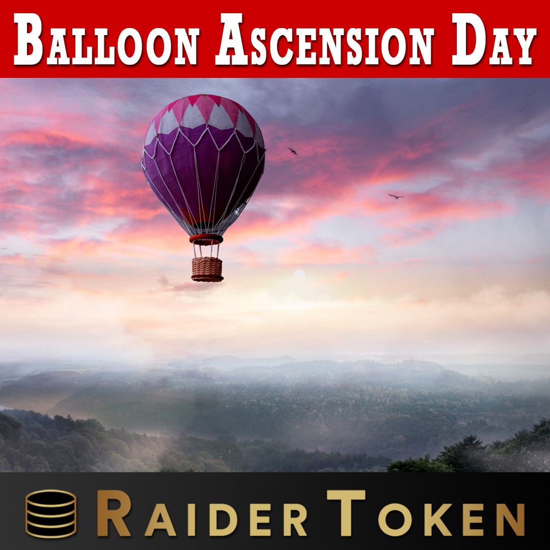 🏴‍☠️ Raiders Raid 🏴‍☠️ tweet media