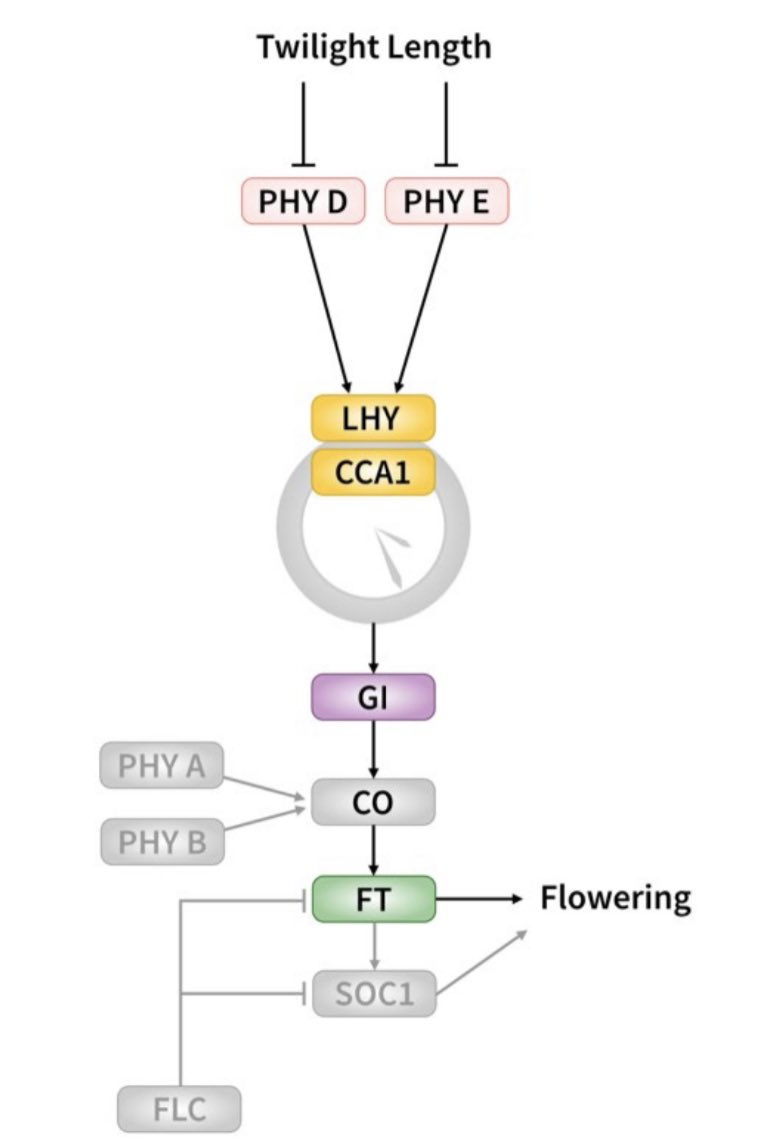 UhrigLab tweet media