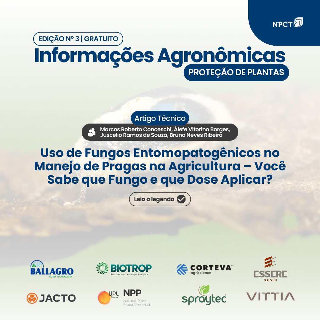 O uso de fungos entomopatogênicos no controle de pragas na agricultura é uma estratégia eficaz e sustentável.

📍 Leia o artigo completo em npct.com.br/IAProtecao.

#NPCTBrasil #ProteçãodePlantas #InformaçõesAgronômicas