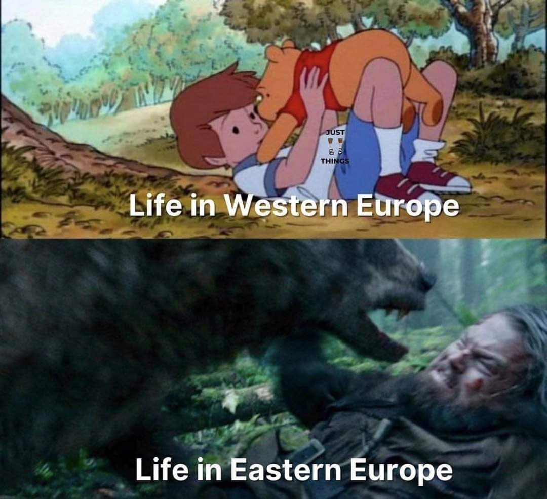 🦤💀🦴⛏️Paleo_Daddy⛏️🦕🦖🦣 (@paleo_daddy) on Twitter photo 