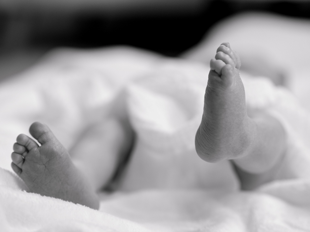 joannamayphoto's tweet photo. Tiny Toes for Tiny People 😍⁠ https://t.co/9ObMb8ZjLt
#family #photography #beautiful #photographer #newborn #baby #motherandbaby #tinytoes #love #happiness #babyphotography #photooftheday #newbornphotographer #smile #newbornphotography #quotes https://t.co/T9cXsgBR6m
