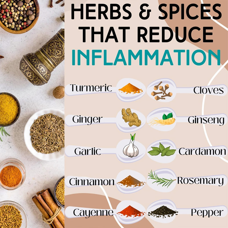OrganicLiveFood's tweet photo. Top 10 herbs and spices that you should have in your medicine cabinet

https://t.co/iXEeLjlq7A