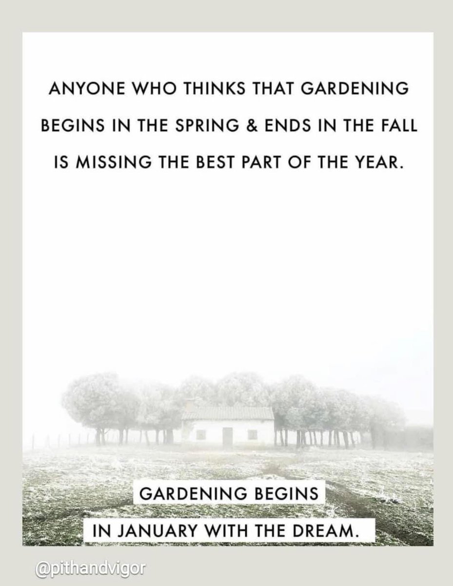 Sarah Brooks (@brooksmeisters) on Twitter photo 