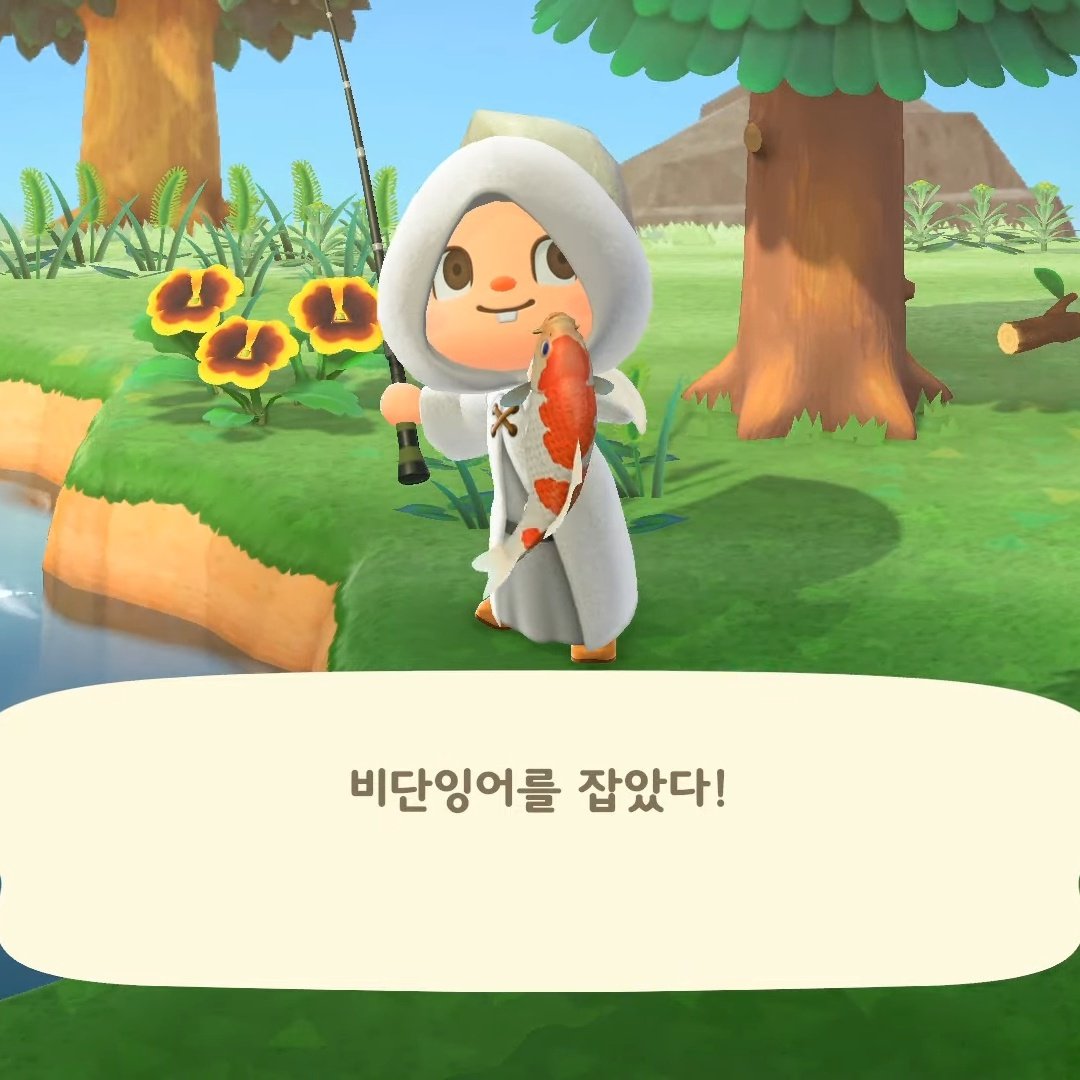 닭콘🍿 tweet media