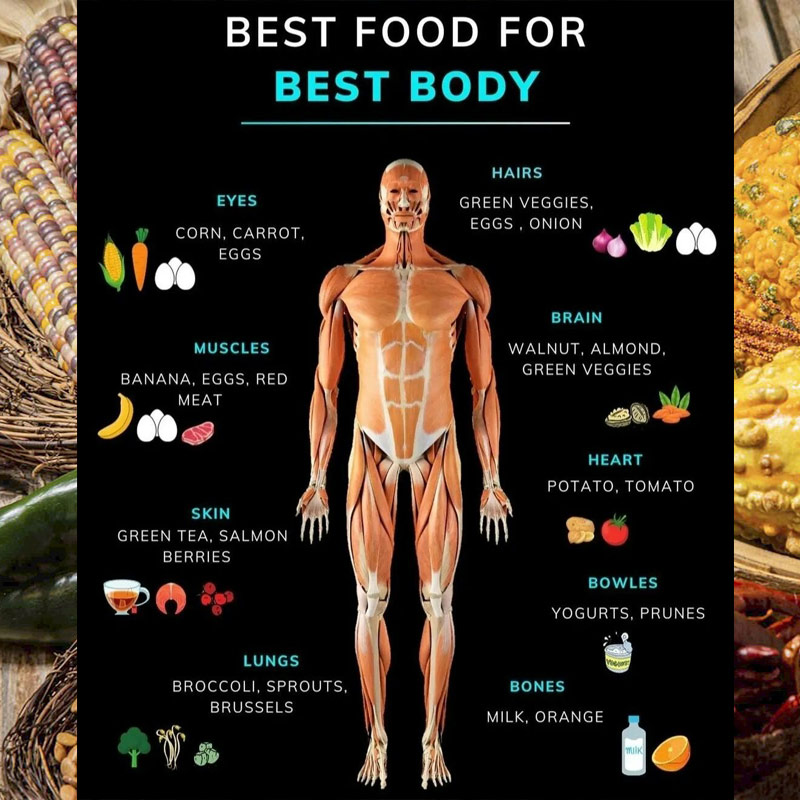 OrganicLiveFood's tweet photo. Healthy foods that provide you with the nutrients you need to sustain your body's well-being and retain energy 

https://t.co/vfeGbHk4nL