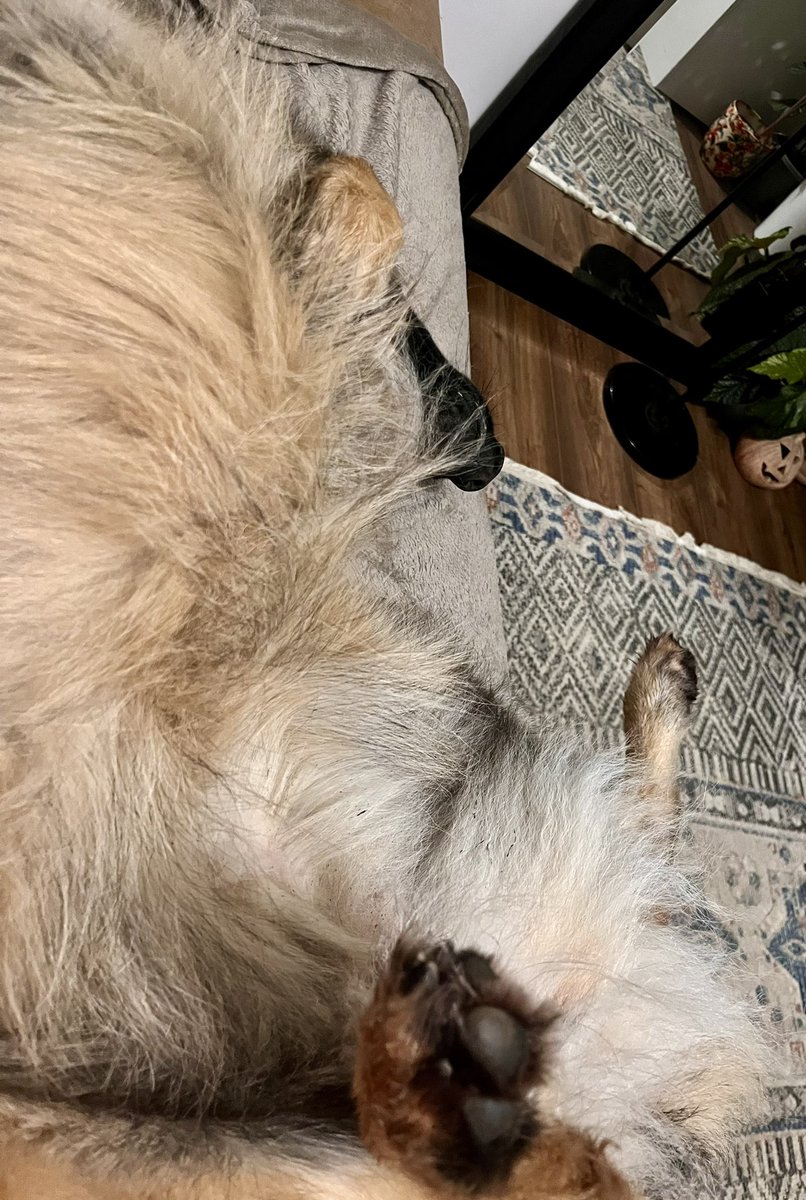 Current view 🤣