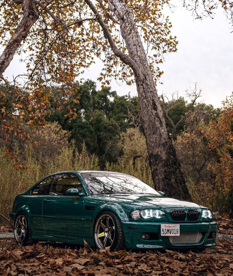 BMW M3 E46 🍂