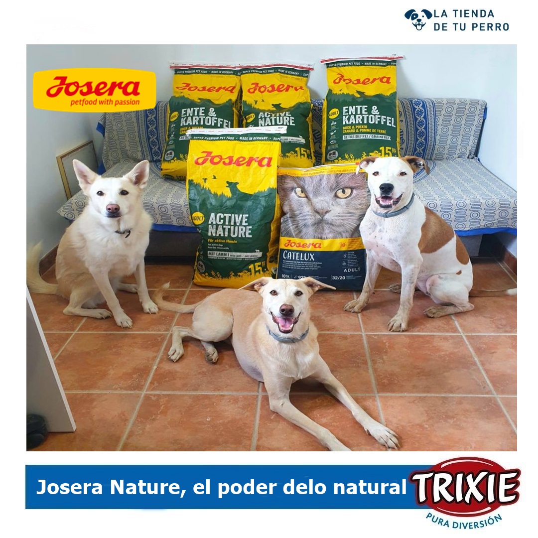 Nuestroperro's tweet photo. ¡Descubre el poder de la alimentación natural para tu mejor amigo de cuatro patas!
Josera, sabe que nuestros perros merecen lo mejor, y eso incluye una dieta saludable y equilibrada.
Podrás ofrecerle a tu peludo una alimentación basada en ingredientes naturales y de alta calidad. https://t.co/ydrzdnbPtW