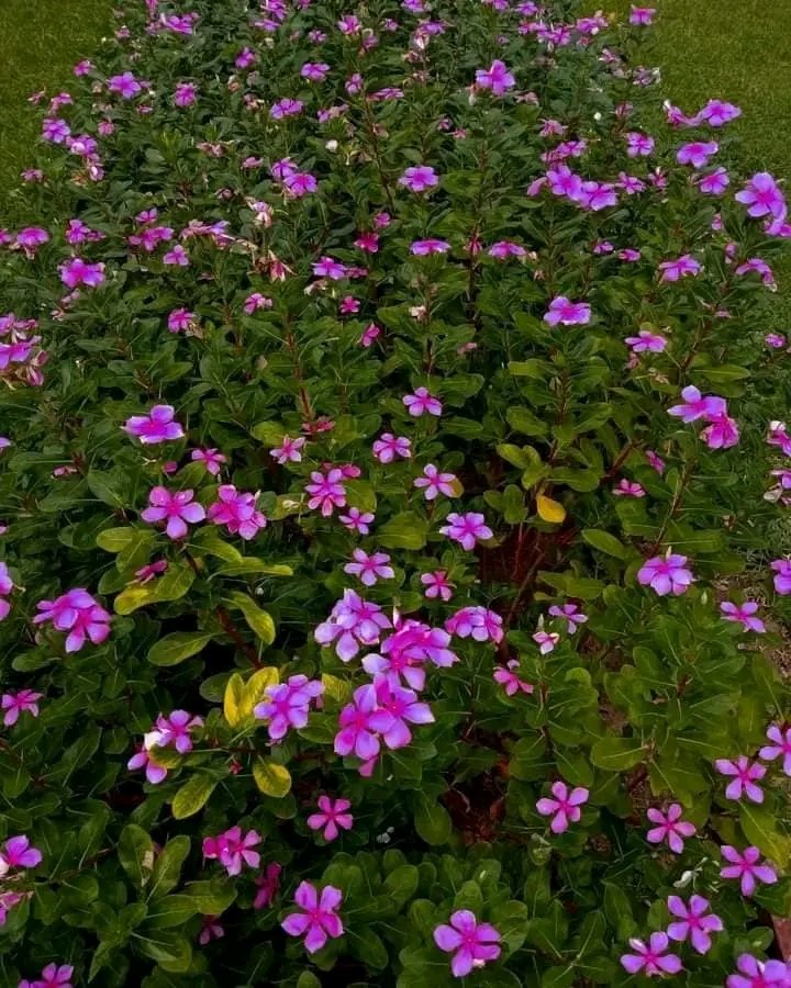 MastikhelUsman's tweet photo. 💫🌟✨ https://t.co/4OgJxpJVpc