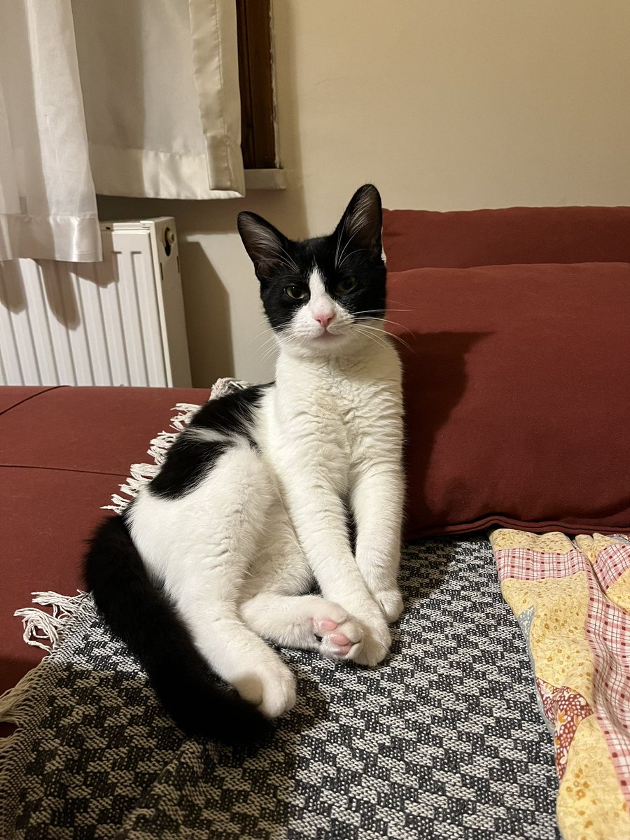 Benim ne suçum var, evde uslu uslu oturuyordum