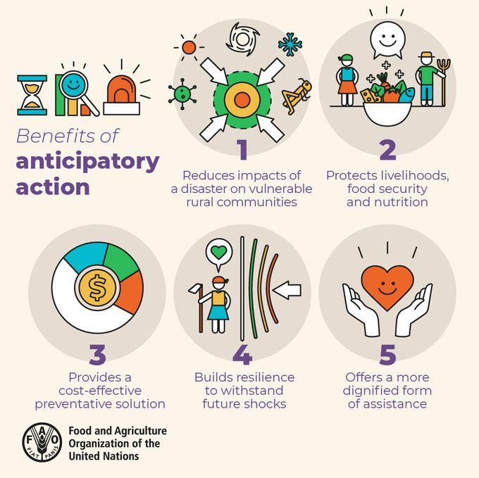 FAO in Africa tweet media