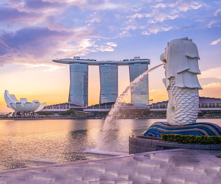 TensorInternat1's tweet image. 6-Month Study + 6-Month Paid Internship Program in Singapore! • Hospitality &amp;amp; Tourism  • Logistic &amp;amp; Supply Chain  • Sports Management  • Retail &amp;amp; Business 10th/12th/ Graduate Can Apply  &amp;gt; IELTS Not Required and pay total fees after Visa &amp;gt; Assured Visa in 30 Days &amp;gt; Affordable
