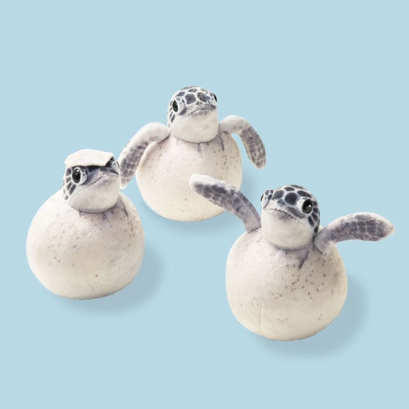 YOU+MORE! tweet media