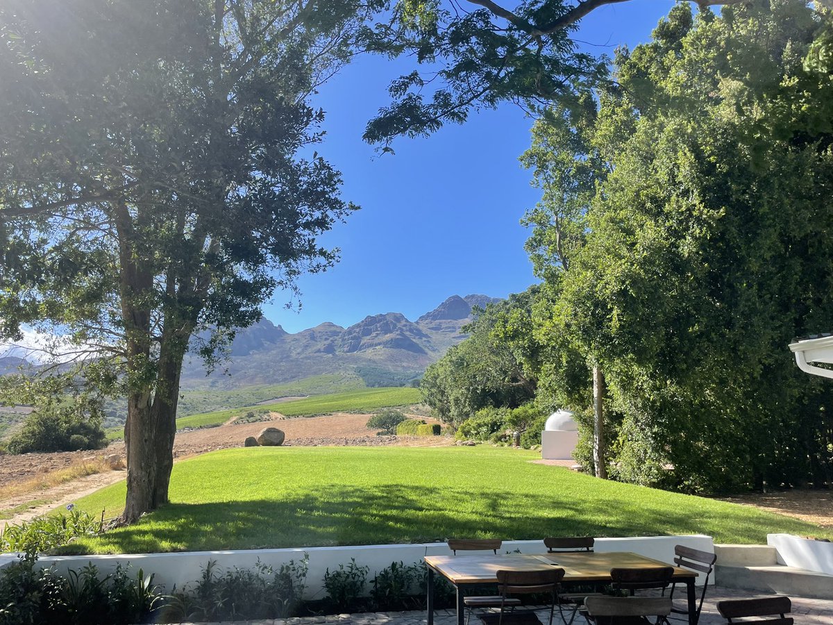 wine.co.za | South African Wine tweet media