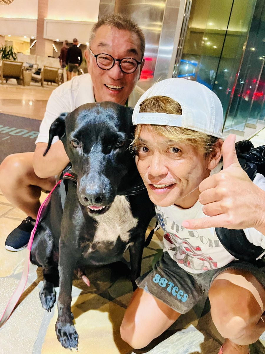 GoGoMichael9's tweet photo. かーくんと3年ぶりに遊んで貰ったワン❣️中野さんご機嫌だワン🚲🐕‍🦺 https://t.co/FJCsgKkElY